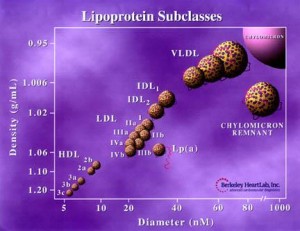 lipoprotein subclasses