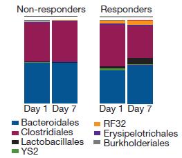 gut microbes days 1 and 7