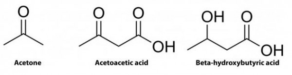 Ketoacidosis | The poor, misunderstood calorie