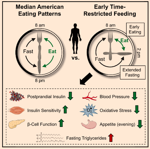 early Time-Restricted Feeding” #eTRF FTW | The poor, misunderstood calorie